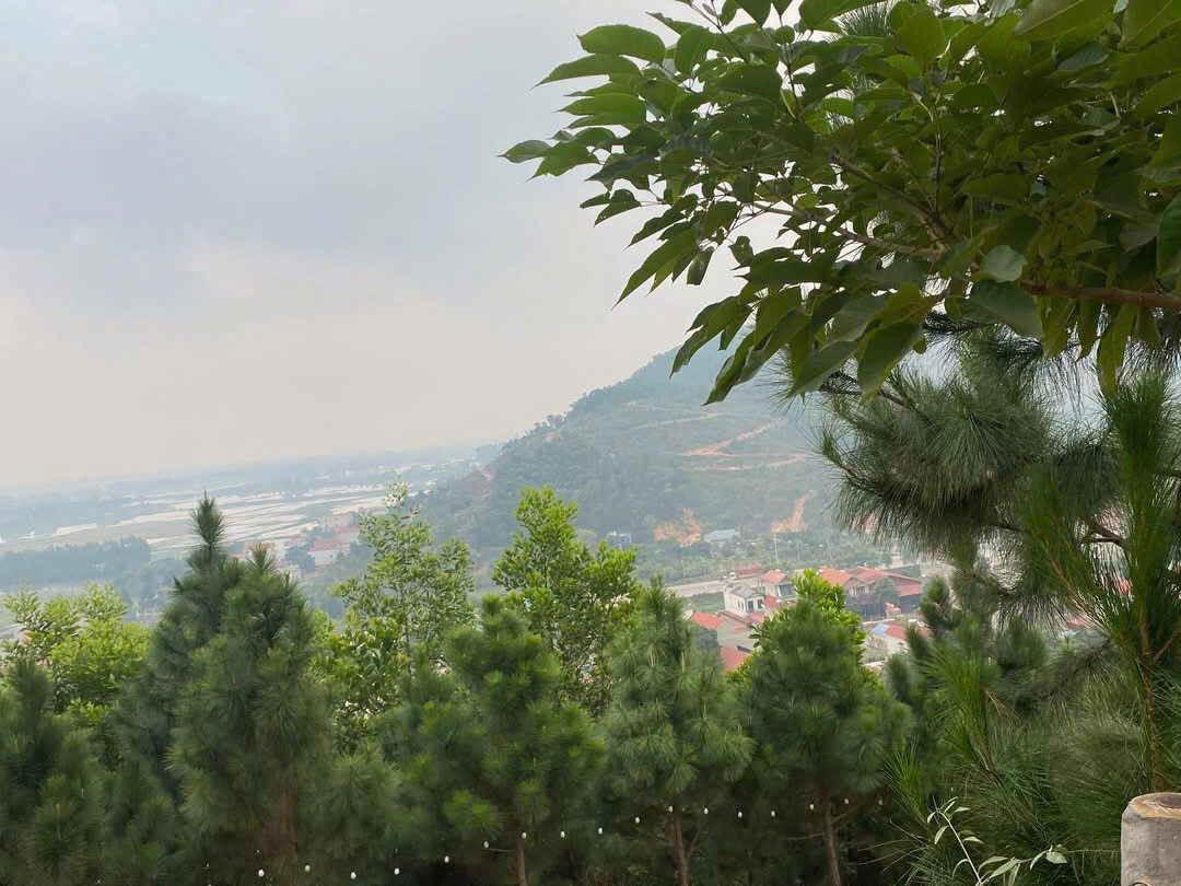 Đồi thông Neo Camping nhìn ra thung lũng