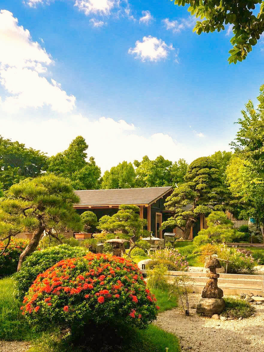 Vườn Nhật với Bonsai và bầu trời trong xanh